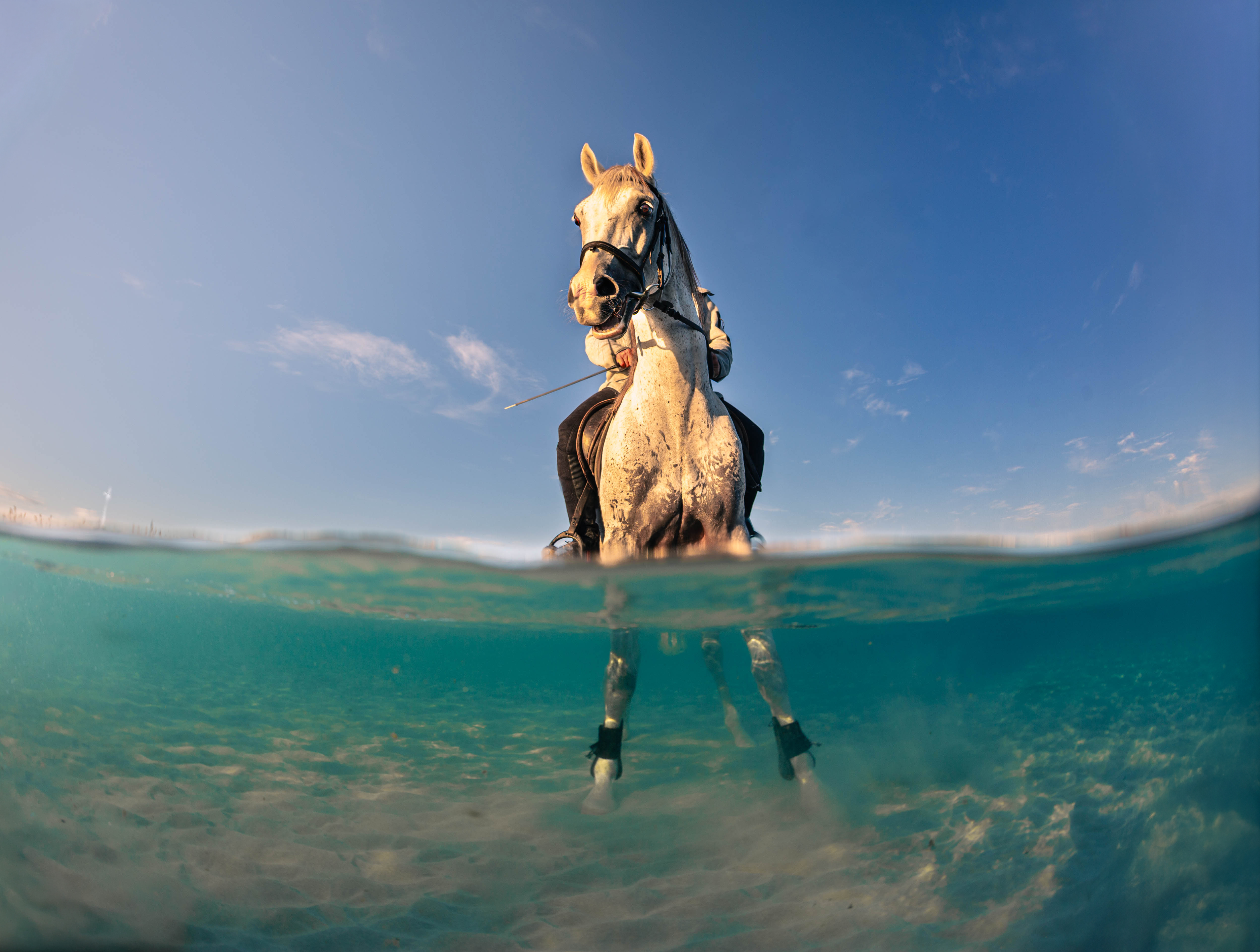 © Doğa Ergün, Türkiye, Shortlist, Youth Competition, 2026 Sony World Photography Awards